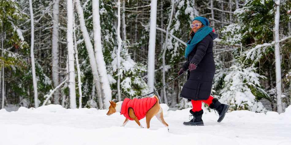 a propos de KMG assistance